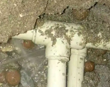 上林测漏水多少钱