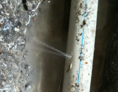 上林测漏水哪家好