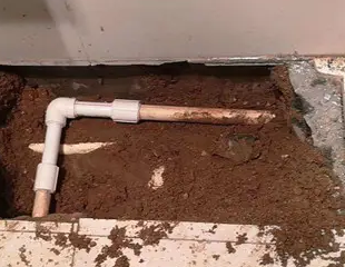 上林测漏水哪家好