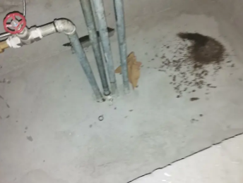 上林卫生间测漏水价格明细