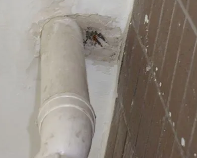 上林漏水检测哪家好